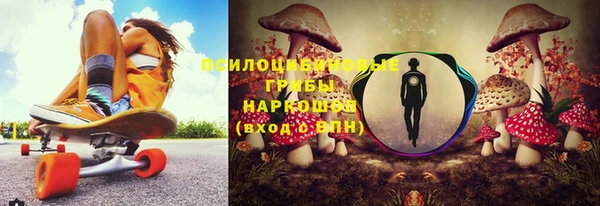 гидропоника Балахна